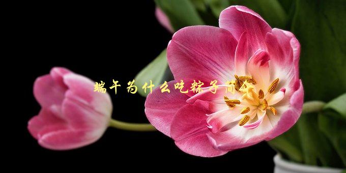 端午为什么吃粽子简介，历史渊源与文化传承-1