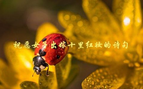祝愿女子出嫁十里红妆的诗句，哪些古诗中有类似的祝福语句