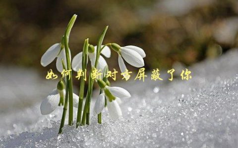 如何判断对方屏蔽了你，几种简单方法教你轻松识别