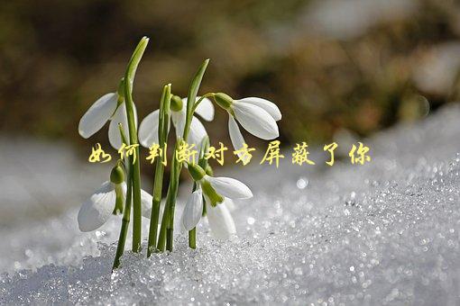 如何判断对方屏蔽了你，几种简单方法教你轻松识别-1