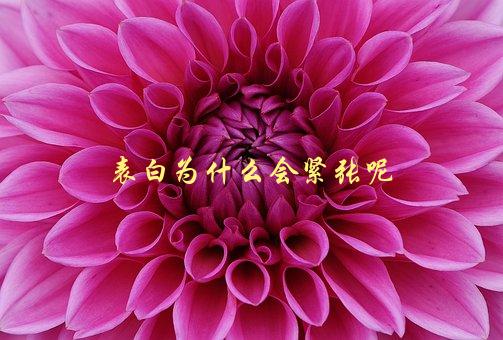 表白为什么会紧张呢，心理学角度解析-1