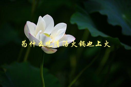 为什么吃清汤火锅也上火，科学解释-1