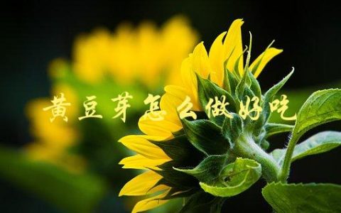 黄豆芽怎么做好吃(教你简单易行的制作方法)
