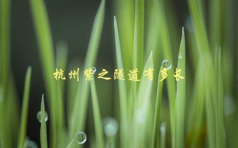 杭州紫之隧道有多长，全长及建设历程解析