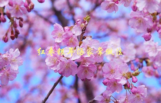 红枣银耳汤家常做法，怎样做才能让汤水更甜美可口？-1