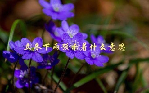 立冬下雨预示着什么意思，有哪些民间传说和科学解释