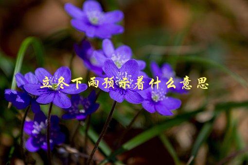 立冬下雨预示着什么意思，有哪些民间传说和科学解释-1