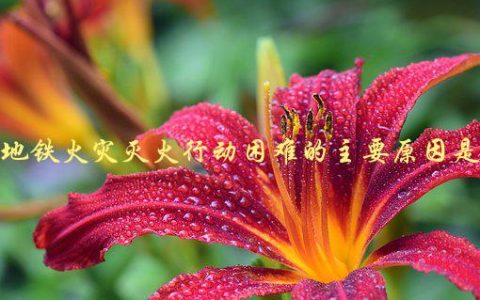 地铁火灾灭火行动困难的主要原因是什么？，探究地铁火灾灭火难题