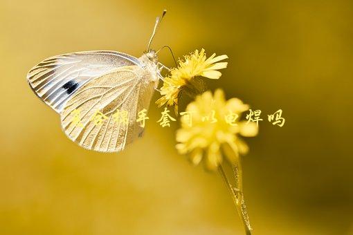 复合棉手套可以电焊吗，安全性能如何？-1