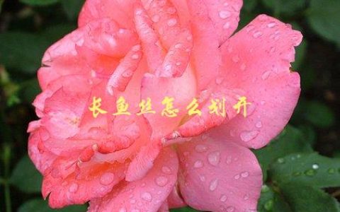 长鱼丝怎么划开，有什么好方法吗
