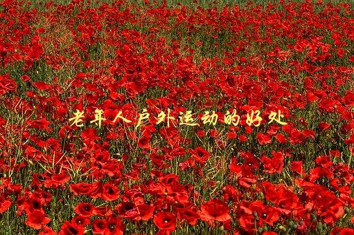 老年人户外运动的好处，有哪些值得一试的运动项目-1