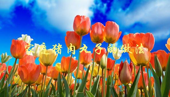 家庭猪肉丸子的做法(怎样做出口感鲜美的肉丸子？)-1