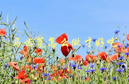 马齿苋怎么做才好吃(有哪些简单易学的方法)-1
