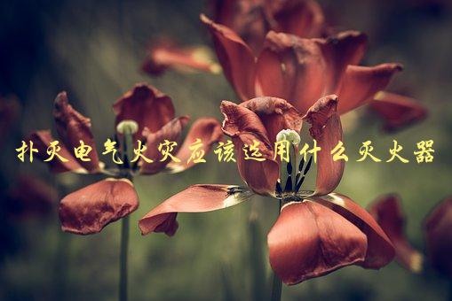 扑灭电气火灾应该选用什么灭火器，你需要知道的三种灭火器-1