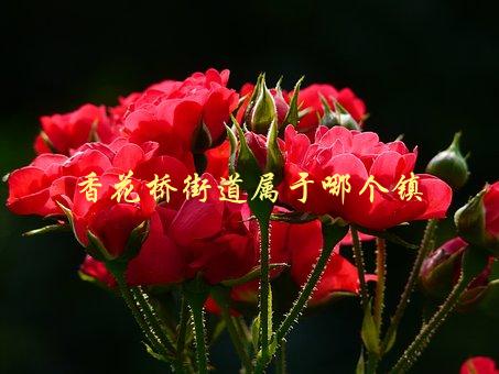 香花桥街道属于哪个镇，详细解答-1