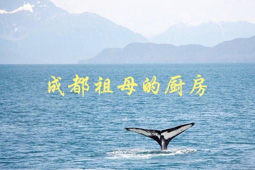 成都祖母的厨房(如何学会正宗川菜烹饪技巧)-1