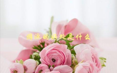 游泳的好处是什么，探究游泳对身体的益处