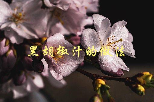 黑胡椒汁的做法(怎样制作美味的黑胡椒汁)-1