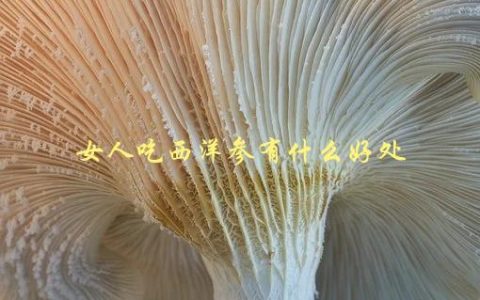 女人吃西洋参有什么好处，提高免疫力、延缓衰老等