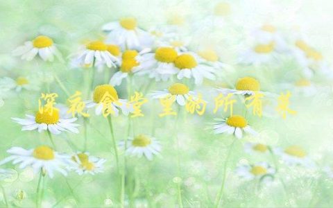 深夜食堂里的所有菜(哪些菜最受欢迎？)