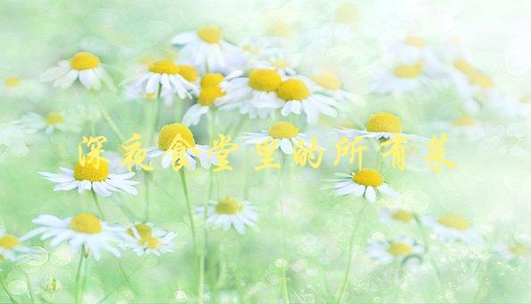 深夜食堂里的所有菜(哪些菜最受欢迎？)-1