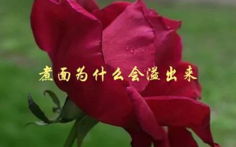 煮面为什么会溢出来，如何避免面汤四溢