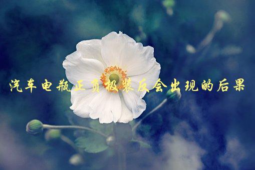 汽车电瓶正负极装反会出现的后果，会对车辆电气系统造成哪些影响-1
