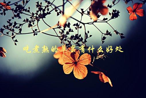 吃煮熟的苹果有什么好处，比生吃更健康吗？-1