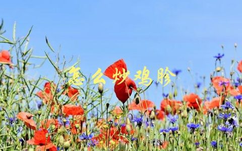 怎么炒鸡胗(简单易学的烹饪技巧)