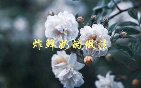 炸鲜奶的做法(怎样制作口感酥脆的炸鲜奶)