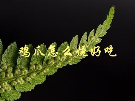 鸡爪怎么烧好吃(简单易学的秘诀分享)-1