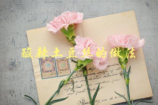酸辣土豆丝的做法(如何做出口感鲜美的家常小菜)-1