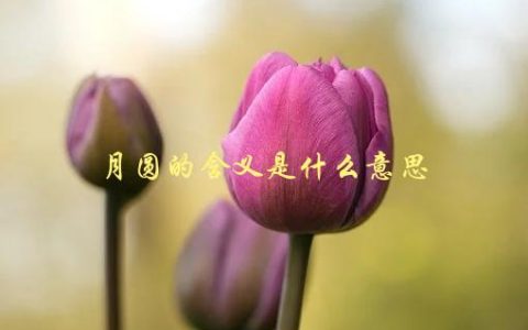 月圆的含义是什么意思，在文化中的象征与意义