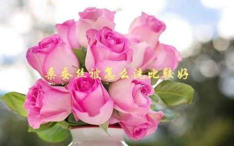 桑蚕丝被怎么洗比较好，有哪些注意事项