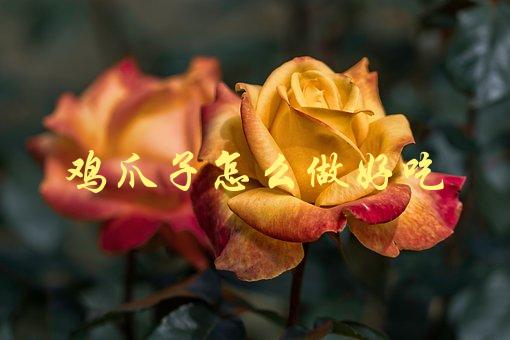 鸡爪子怎么做好吃(最全做法大揭秘)-1
