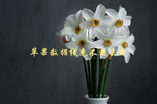 苹果数据线充不进去电，可能的原因和解决方法-1