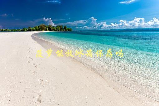 菠萝能放冰箱保存吗，正确的保存方法是什么-1