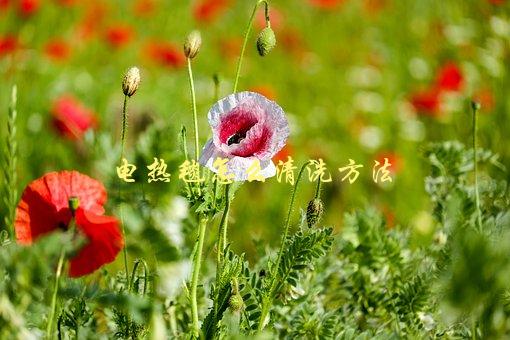电热毯怎么清洗方法，详细步骤与注意事项-1
