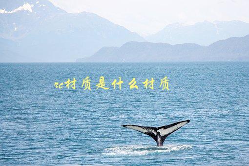 RC材质是什么材质，了解RC材质的特点和用途-1