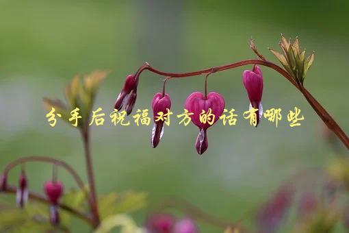 分手后祝福对方的话有哪些，如何委婉表达祝福之意-1