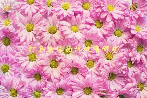 打乒乓球的坏处有哪些，你不知道的健康隐患-1