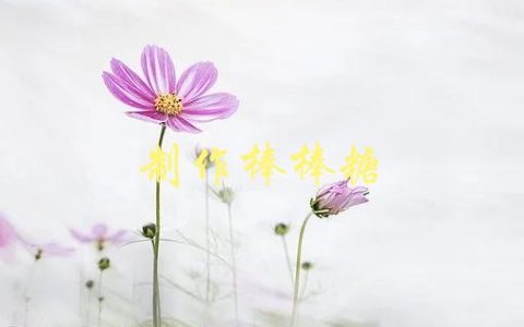 制作棒棒糖(怎样做出口感绝佳的棒棒糖)