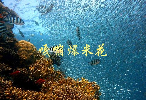 嘎嘣爆米花(如何制作出最香最脆的口感)-1