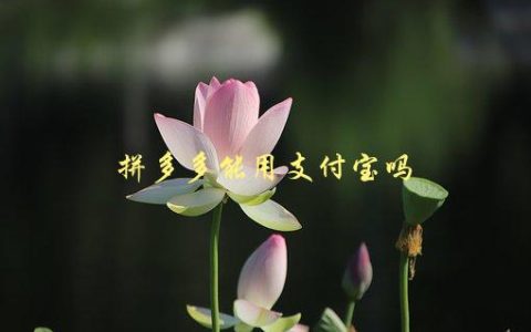 拼多多能用支付宝吗，详细解答