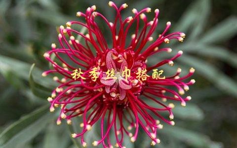 秋季丝巾搭配，如何让你的穿搭更加时尚