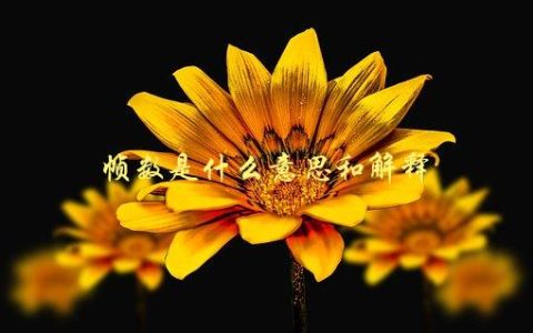 帧数是什么意思和解释，为什么影响游戏体验
