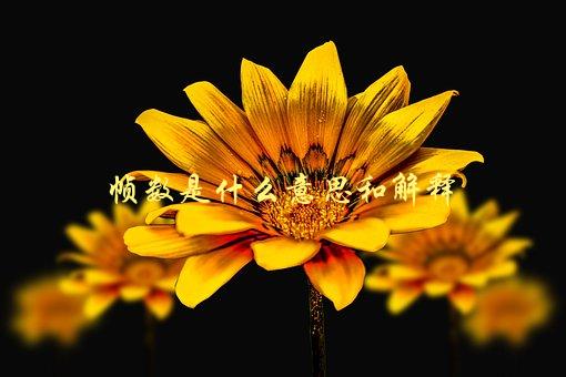 帧数是什么意思和解释，为什么影响游戏体验-1