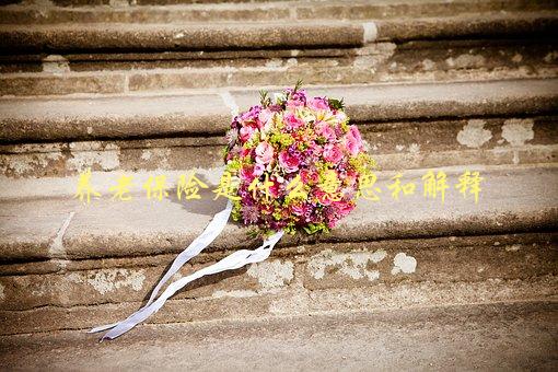 养老保险是什么意思和解释，详解养老保险的含义与作用-1