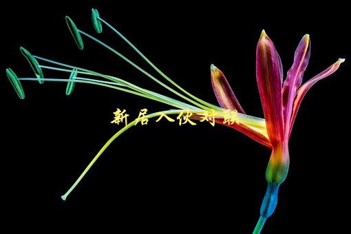 新居入伙对联，如何选取有吉祥寓意的对联-1