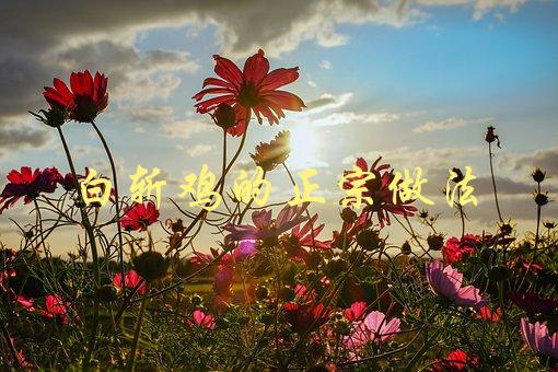 白斩鸡的正宗做法(如何做出口感鲜嫩、肉质细腻的白斩鸡)-1